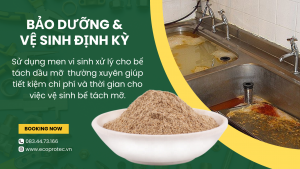 men vi sinh phân huỷ dầu mỡ ecoprotec