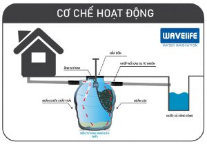 cơ chế hoạt động của bể tự hoại